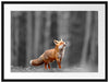 Neugieriger Fuchs im Herbstwald B&W Detail Passepartout Rechteckig 80