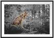 Wolf sitzt auf einem Stein im Herbstwald B&W Detail Passepartout Rechteckig 100