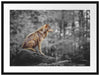 Wolf sitzt auf einem Stein im Herbstwald B&W Detail Passepartout Rechteckig 80