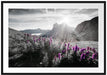 Bergwiese im Puez-Geisler Naturpark B&W Detail Passepartout Rechteckig 100