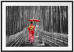 Frau im janapischen Kimono im Bambuswald B&W Detail Passepartout Rechteckig 100