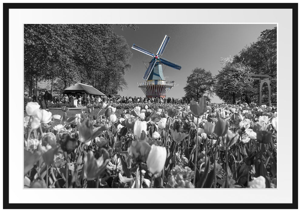 Holländisches Tulpenmeer vor Windmühle B&W Detail Passepartout Rechteckig 100