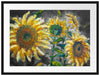 Sonnenblumen vor blauem Hintergrund B&W Detail Passepartout Rechteckig 80