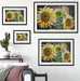 Sonnenblumen vor blauem Hintergrund B&W Detail Passepartout Wohnzimmer Rechteckig