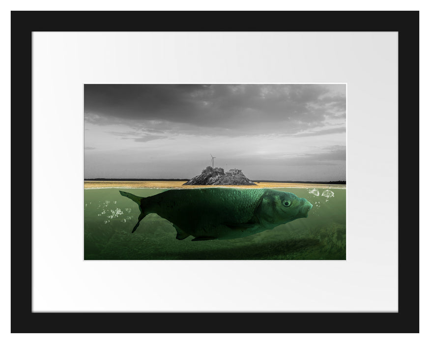 Pixxprint Abstrakter Fisch mit Felsrücken B&W Detail, im Galerie-Passepartout Bilderrahmen