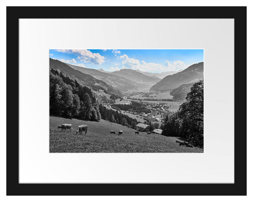 Pixxprint Kuhherde auf Zillertaler Almwiese B&W Detail, im Galerie-Passepartout Bilderrahmen