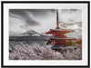Japanischer Tempel zwischen Kirschblüten B&W Detail Passepartout Rechteckig 80