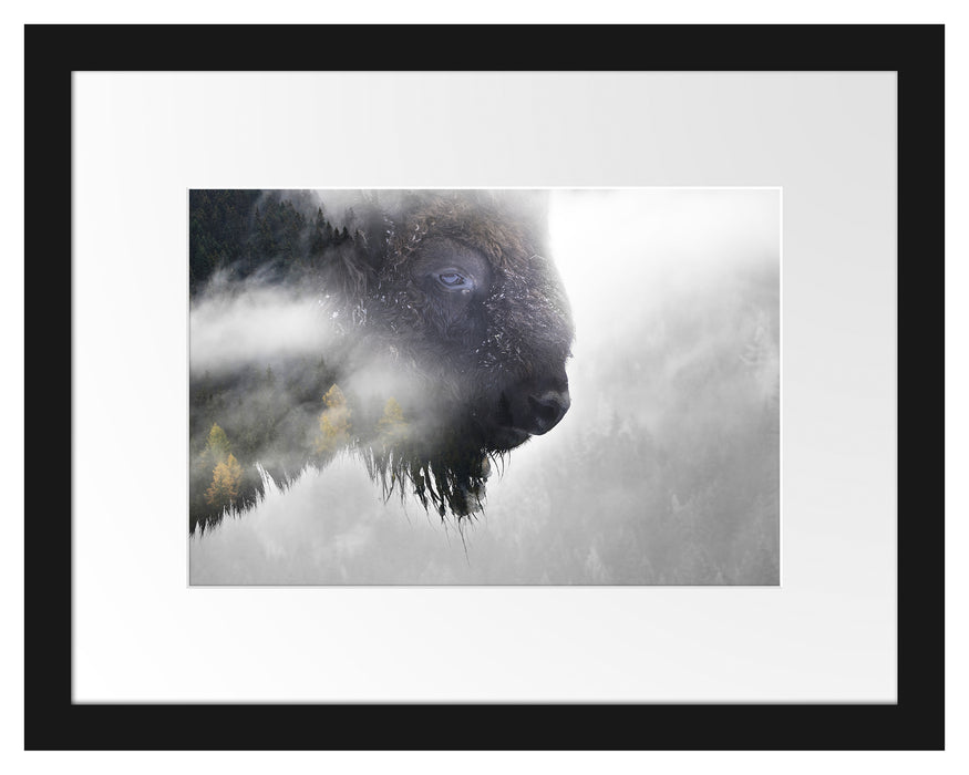 Pixxprint Wildes Bison in nebeligem Wald B&W Detail, im Galerie-Passepartout Bilderrahmen