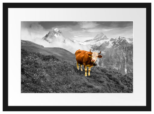 Kuh auf grüner Alm in den Bergen B&W Detail Passepartout Rechteckig 40