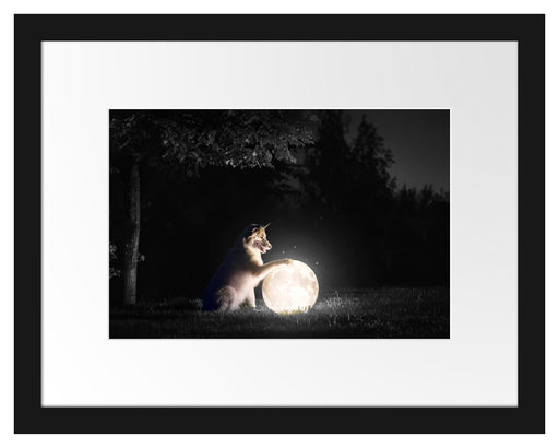 Hund mit leuchtendem Mond bei Nacht B&W Detail Passepartout Rechteckig 30