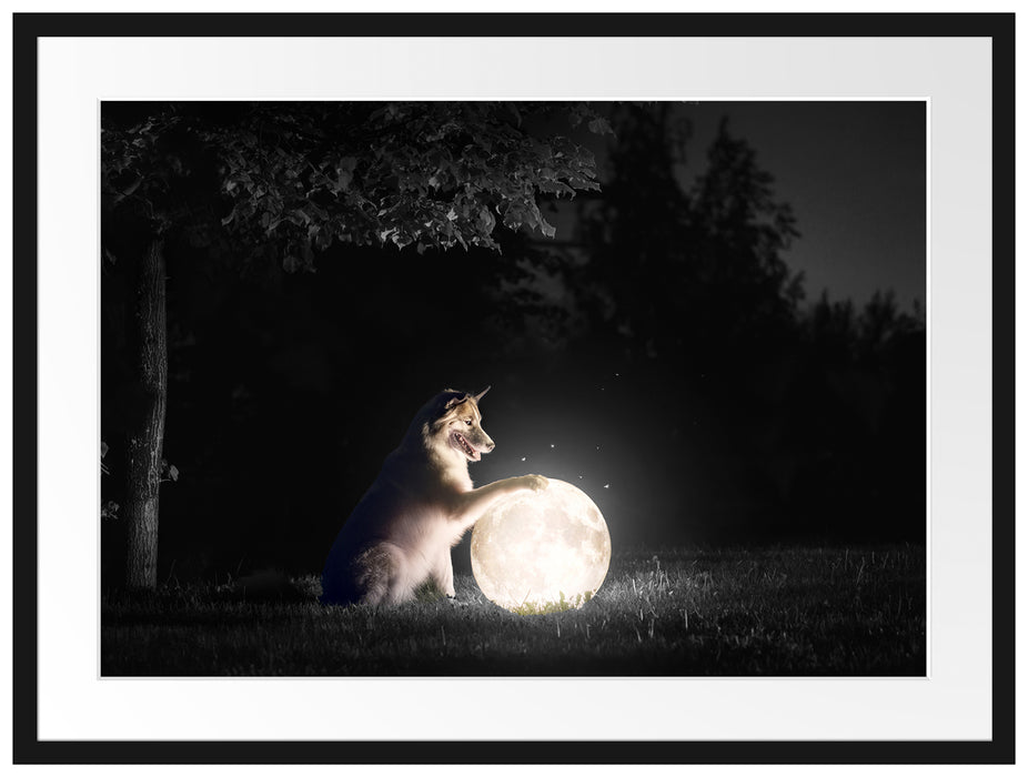 Hund mit leuchtendem Mond bei Nacht B&W Detail Passepartout Rechteckig 80