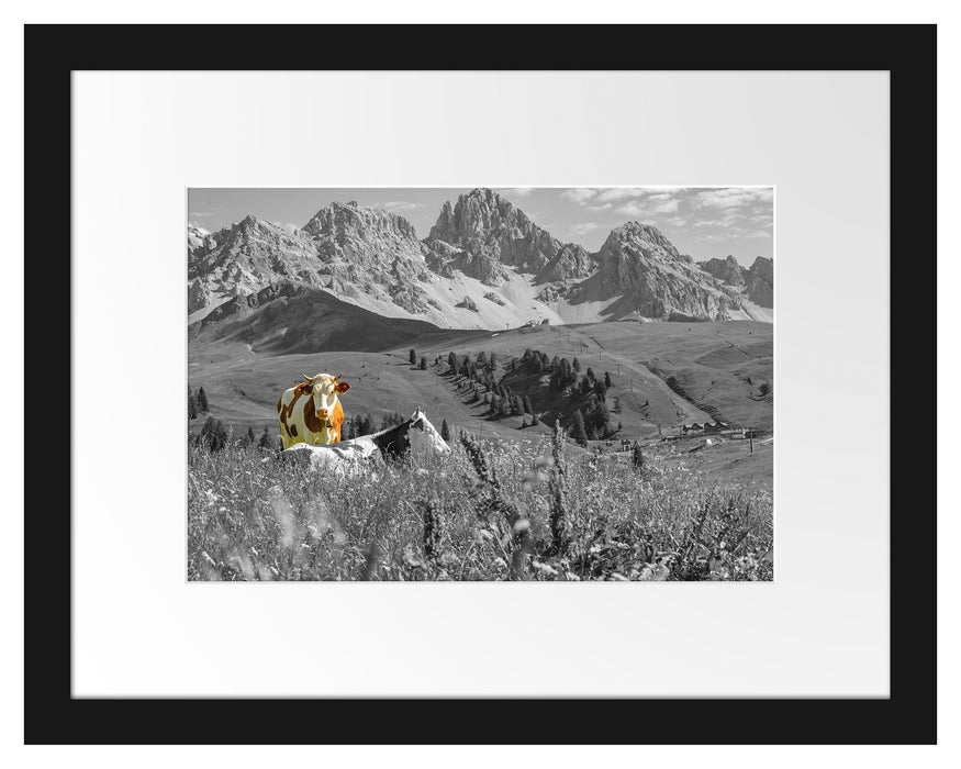 Pixxprint Alpenszene mit Kühen auf grüner Wiese B&W Detail, im Galerie-Passepartout Bilderrahmen
