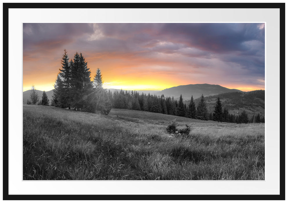 Wiesenlandschaft bei Sonnenuntergang B&W Detail Passepartout Rechteckig 100