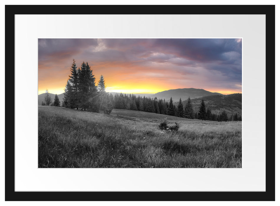 Wiesenlandschaft bei Sonnenuntergang B&W Detail Passepartout Rechteckig 40