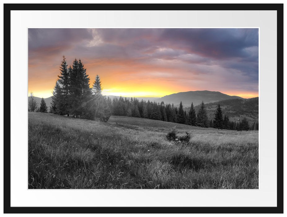 Wiesenlandschaft bei Sonnenuntergang B&W Detail Passepartout Rechteckig 80