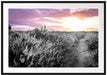 Lavendellandschaft bei Sonnenuntergang B&W Detail Passepartout Rechteckig 100