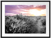 Lavendellandschaft bei Sonnenuntergang B&W Detail Passepartout Rechteckig 80