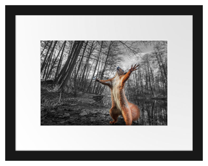 Pixxprint Lustiges Eichhörnchen steht im Wald B&W Detail, im Galerie-Passepartout Bilderrahmen