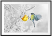 Kohlmeise an goldener Kugel in Winterwald B&W Detail Passepartout Rechteckig 100