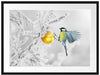 Kohlmeise an goldener Kugel in Winterwald B&W Detail Passepartout Rechteckig 80