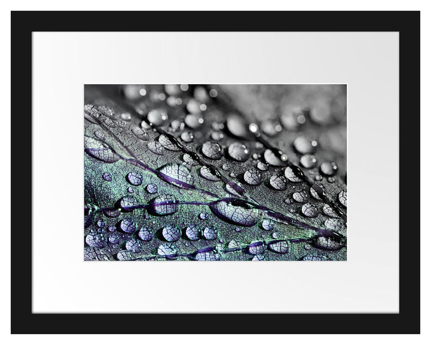 Pixxprint Nahaufnahme Wassertropfen auf Blatt B&W Detail, im Galerie-Passepartout Bilderrahmen