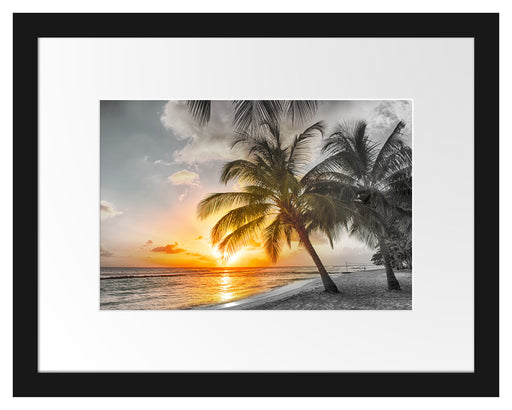 Palmen im Sonnenuntergang auf Barbados B&W Detail Passepartout Rechteckig 30