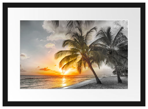 Palmen im Sonnenuntergang auf Barbados B&W Detail Passepartout Rechteckig 40