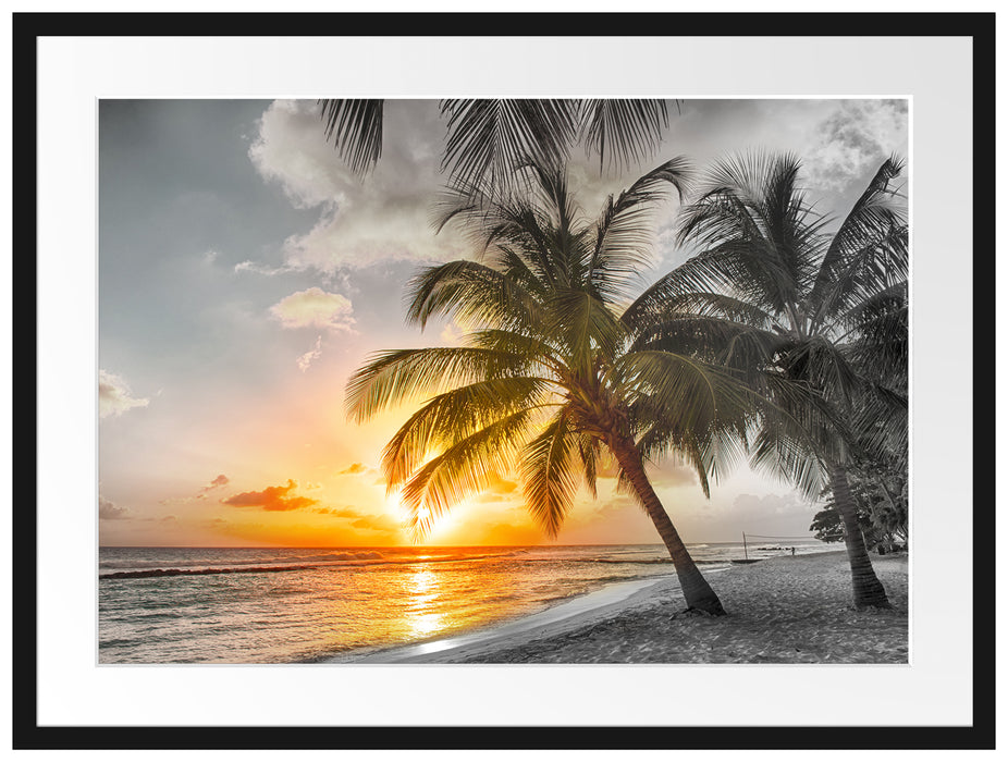 Palmen im Sonnenuntergang auf Barbados B&W Detail Passepartout Rechteckig 80