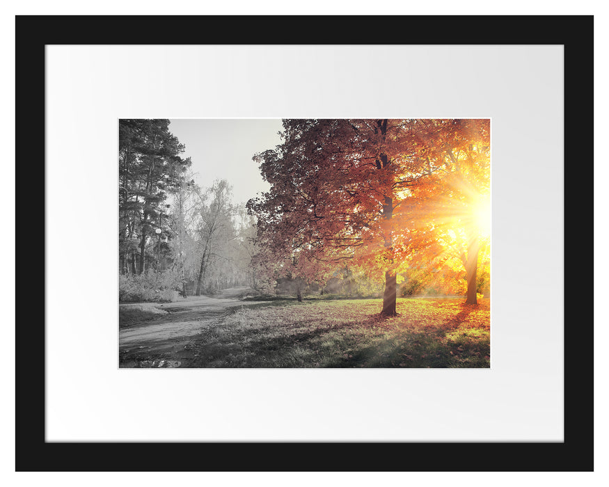 Pixxprint Weg durch bunten Herbstwald B&W Detail, im Galerie-Passepartout Bilderrahmen