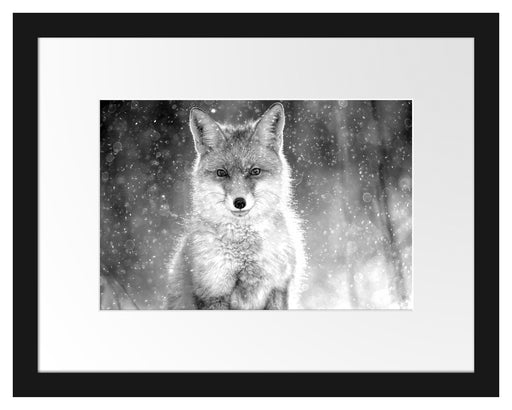 Roter Fuchs im Winter, Monochrome Passepartout Rechteckig 30