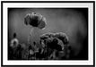 Mohnblumen auf einer Wiese in der Nacht, Monochrome Passepartout Rechteckig 100