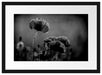 Mohnblumen auf einer Wiese in der Nacht, Monochrome Passepartout Rechteckig 40