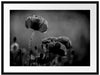 Mohnblumen auf einer Wiese in der Nacht, Monochrome Passepartout Rechteckig 80