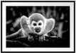 Neugieriges Totenkopfäffchen auf Ast, Monochrome Passepartout Rechteckig 100