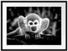 Neugieriges Totenkopfäffchen auf Ast, Monochrome Passepartout Rechteckig 80