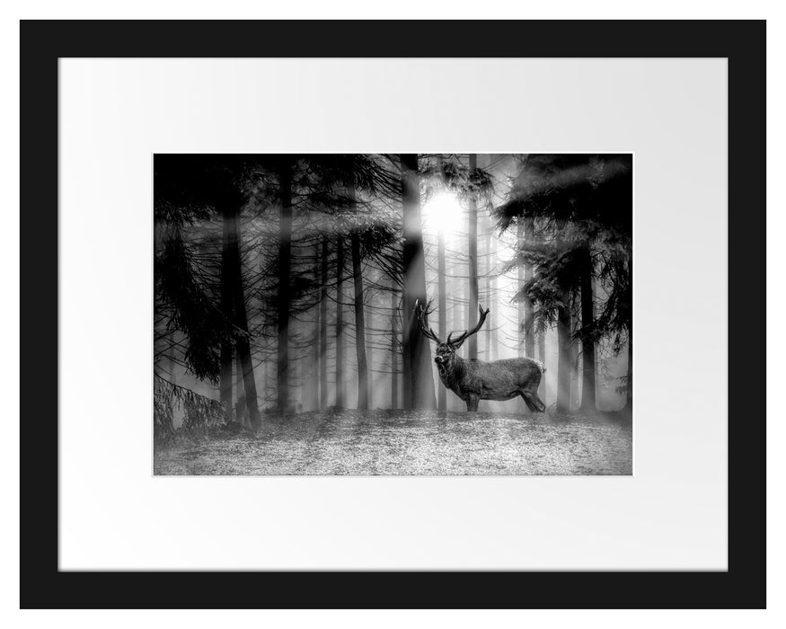 Pixxprint Hirsch auf Waldlichtung Sonnenstrahlen, Monochrome, im Galerie-Passepartout Bilderrahmen