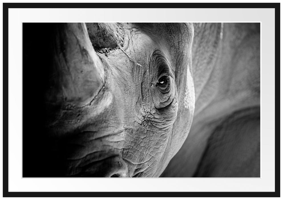 Nahaufnahme eines Nashorn Schwarz-weiß, Monochrome Passepartout Rechteckig 100