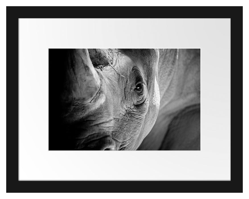 Pixxprint Nahaufnahme eines Nashorn Schwarz-weiß, Monochrome, im Galerie-Passepartout Bilderrahmen