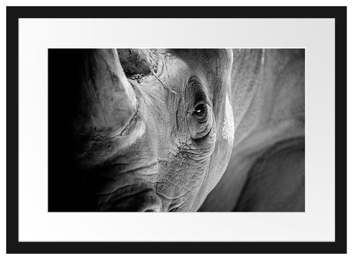 Nahaufnahme eines Nashorn Schwarz-weiß, Monochrome Passepartout Rechteckig 40