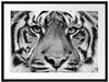 Nahaufnahme Sumatra Tiger, Monochrome Passepartout Rechteckig 80