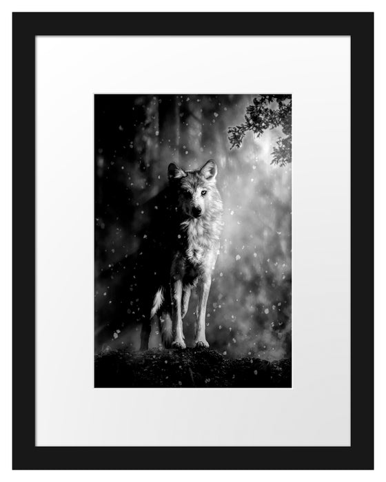 Pixxprint Fantasievoller weißer Wolf auf Lichtung, Monochrome, im Galerie-Passepartout Bilderrahmen