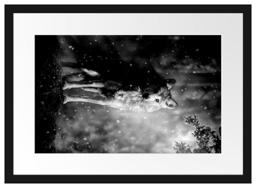 Fantasievoller weißer Wolf auf Lichtung, Monochrome Passepartout Rechteckig 40