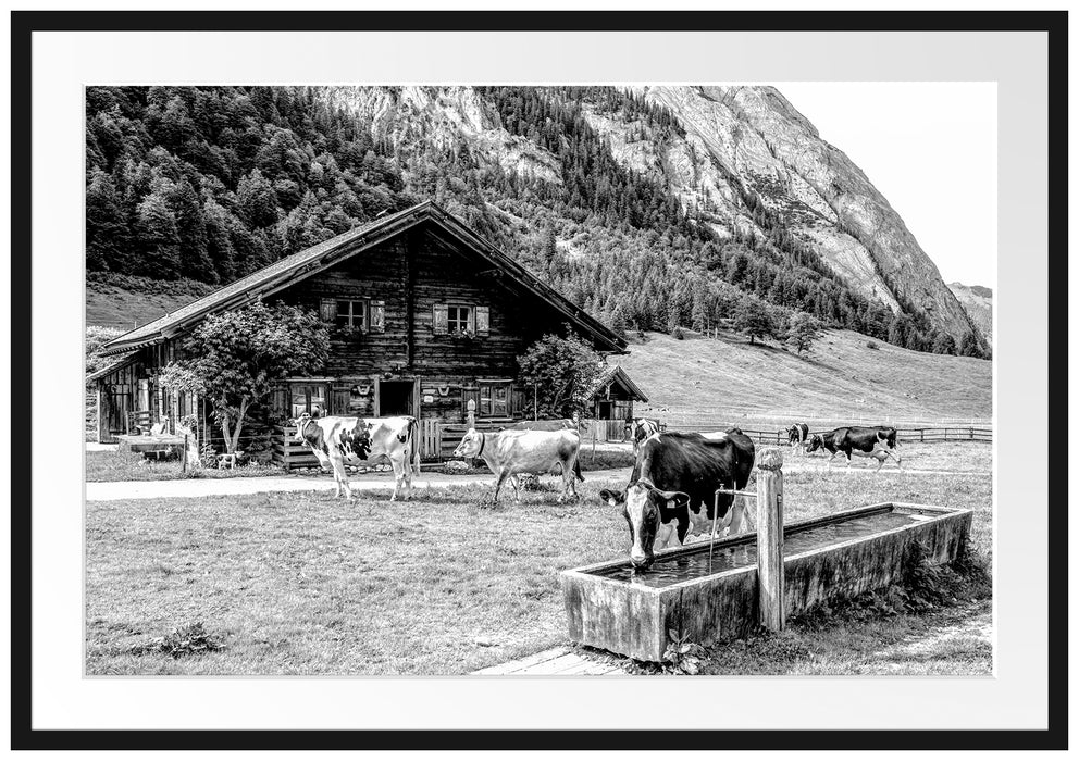 Kühe vor Blochhütte auf Albenweide, Monochrome Passepartout Rechteckig 100