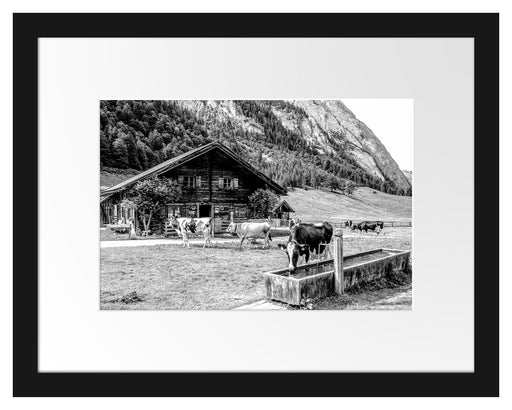Kühe vor Blochhütte auf Albenweide, Monochrome Passepartout Rechteckig 30