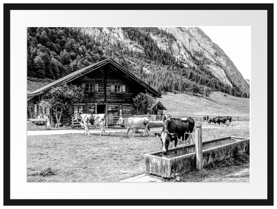 Kühe vor Blochhütte auf Albenweide, Monochrome Passepartout Rechteckig 80