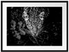gefährlicher Panther im Wald von oben, Monochrome Passepartout Rechteckig 80