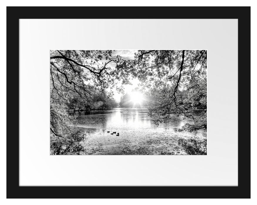 Pixxprint Herbstbäume um See bei Sonnenuntergang, Monochrome, im Galerie-Passepartout Bilderrahmen