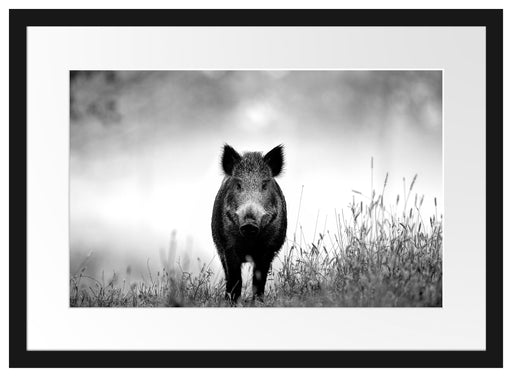 Wildschweinauf einer Wiese im Nebel, Monochrome Passepartout Rechteckig 40