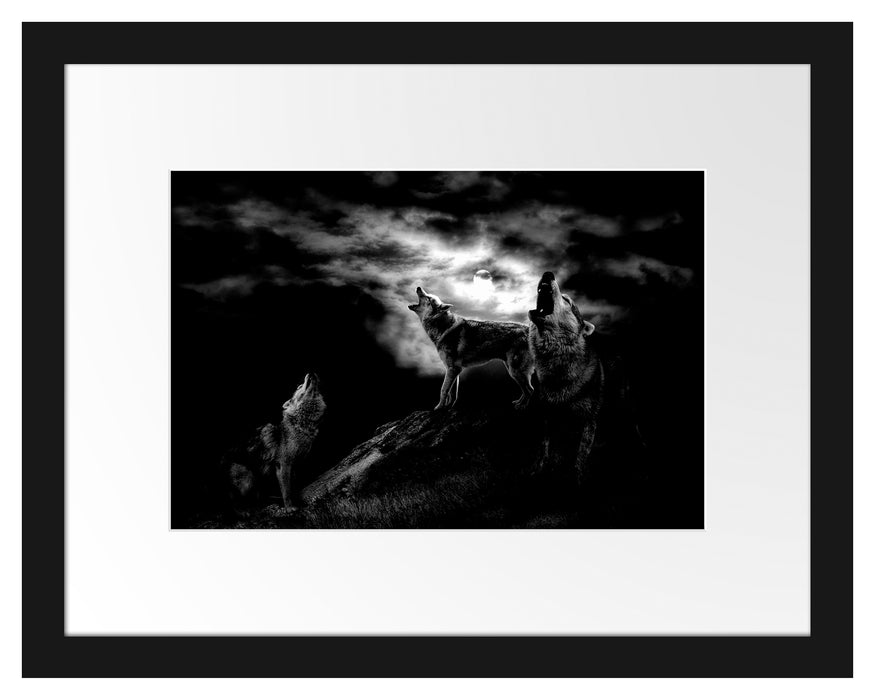 Heulende Wölfe bei Mondschein, Monochrome Passepartout Rechteckig 30