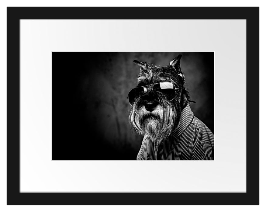 Pixxprint Lustiger Hund mit Hemd und Sonnenbrille, Monochrome, im Galerie-Passepartout Bilderrahmen